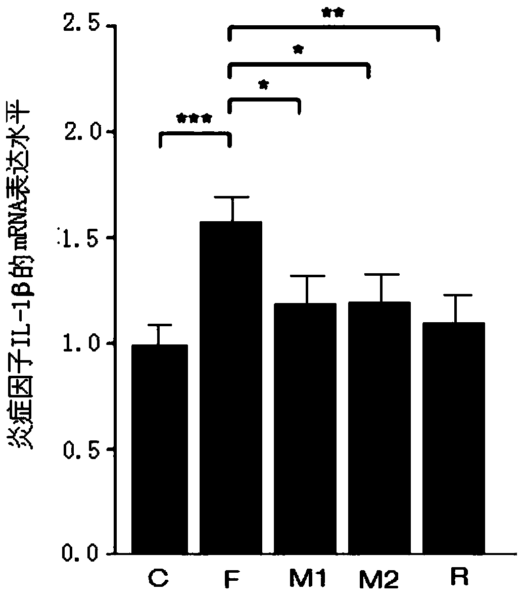 Application of mulberroside A and derivatives thereof in preparation of drug for protecting intestinal barrier