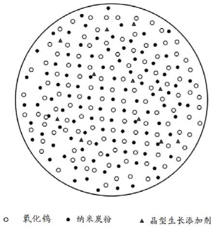 Plate-shaped crystal tungsten carbide powder, preparation method thereof and hard alloy