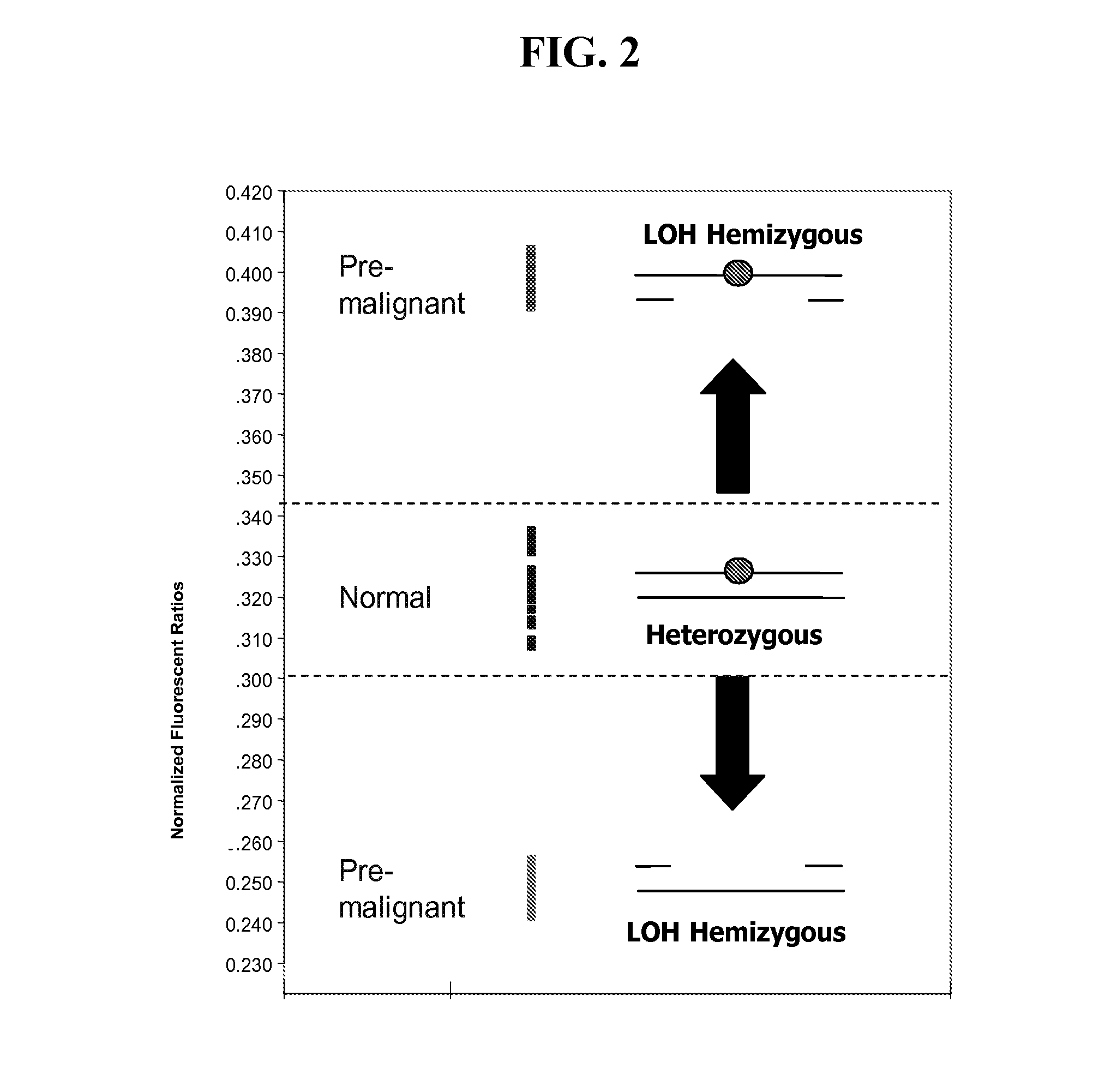 Compositions and methods for nucleic acid based diagnostic assays