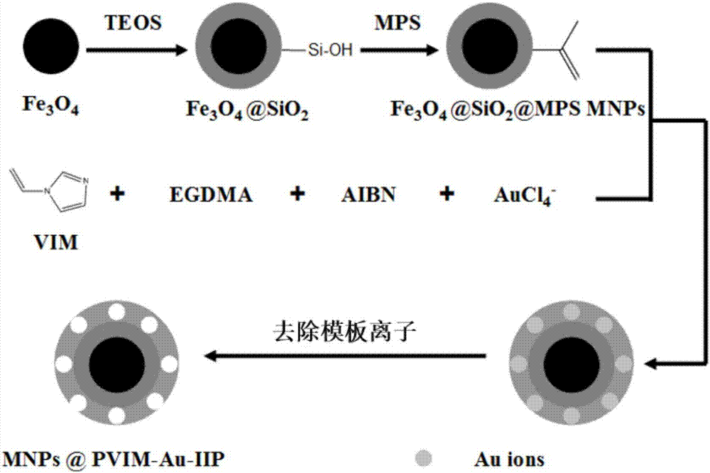 Gold ion imprinting magnetic adsorbent as well as preparation method and application thereof