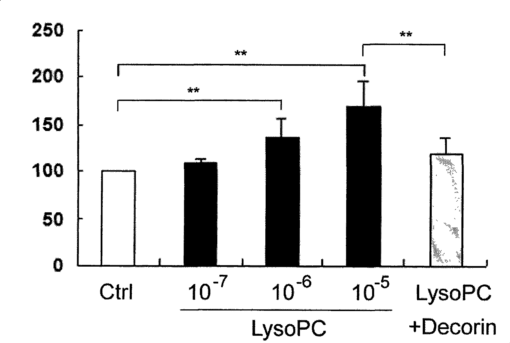 Use of decorin in preparing medicine for treating ischemic cerebrovascular disease