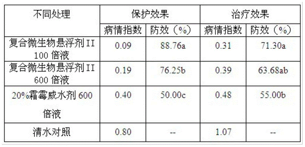 Compound microorganism bacterium agent for preventing and treating fruit and vegetable downy mildews and preparation method thereof
