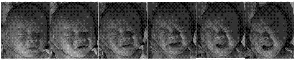 Video analysis-based newborn pain expression identification method