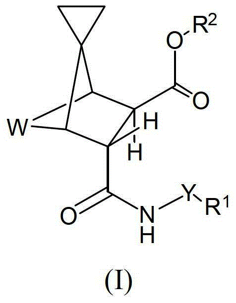 Bridged spiro[2.4]heptane ester derivatives