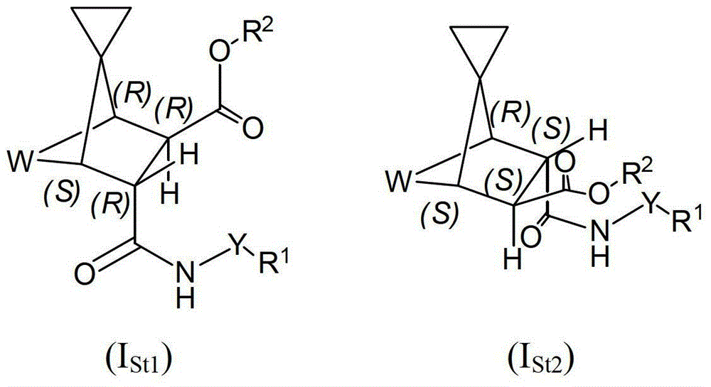 Bridged spiro[2.4]heptane ester derivatives
