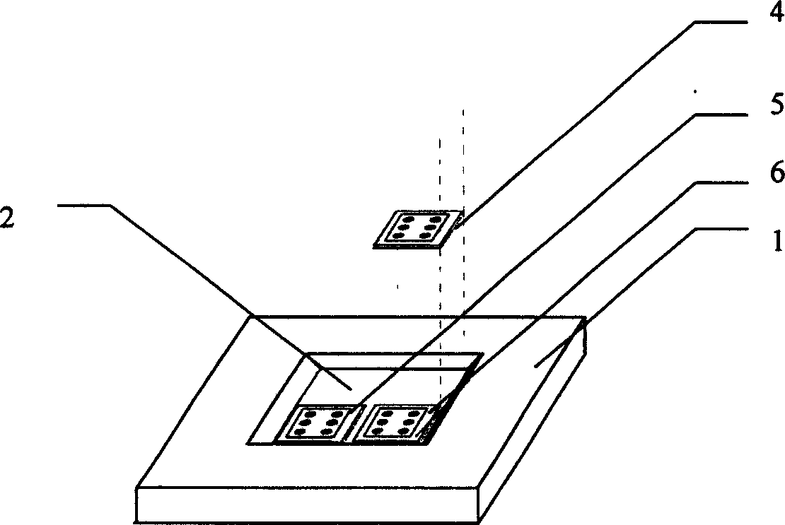 Albumen chip for detecting autoimmunity antibody of diabetes, as well as preparation and detection method