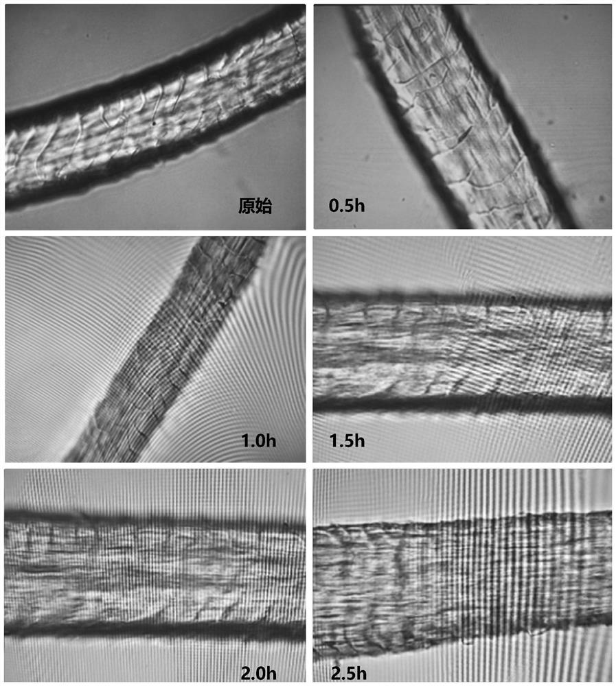 Preparation method of wool immobilized enzyme and wool immobilized enzyme column reactor