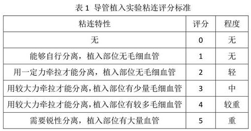 Catheter with tissue protective mantle, preparation method and application