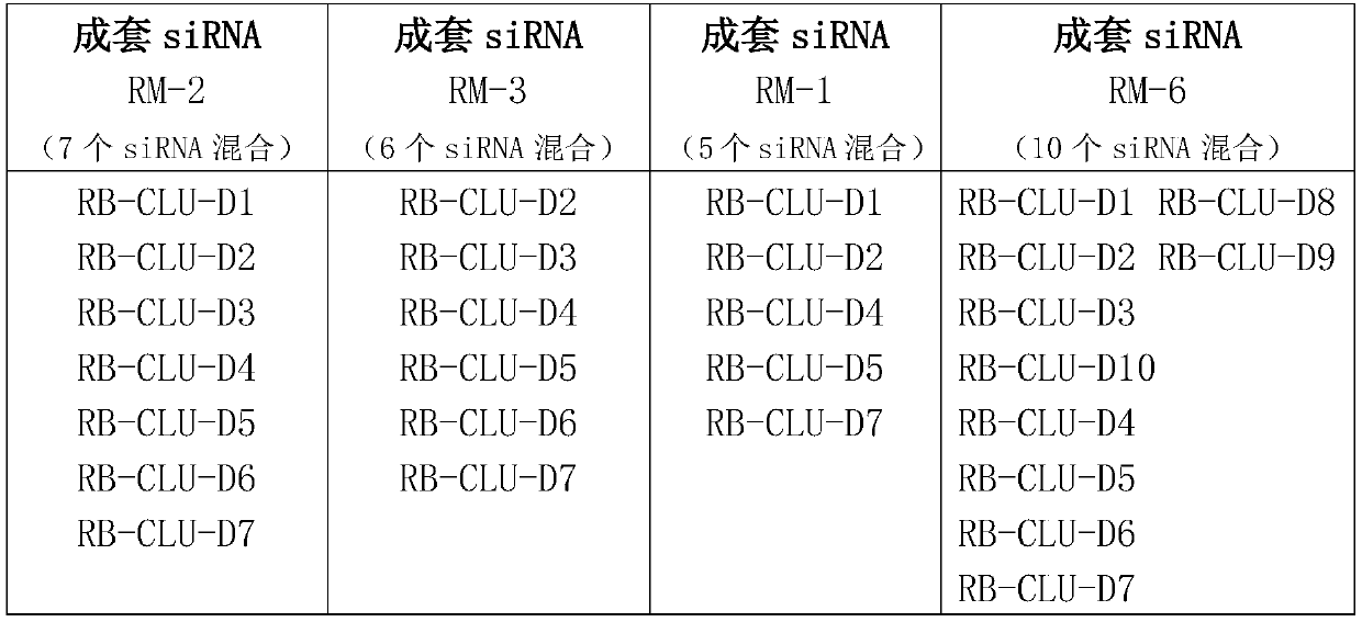 A kind of complete set of siRNA for suppressing clusterin gene expression and application thereof