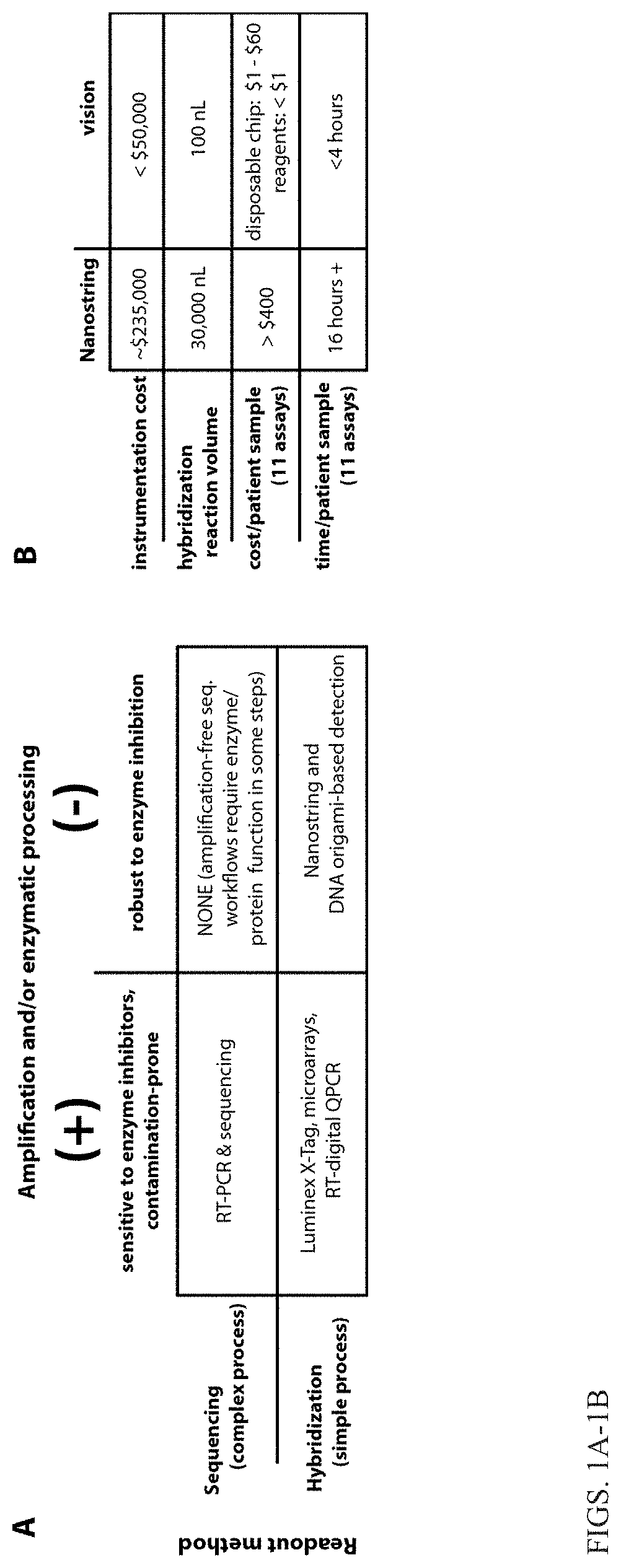 Hybridization probes and uses thereof