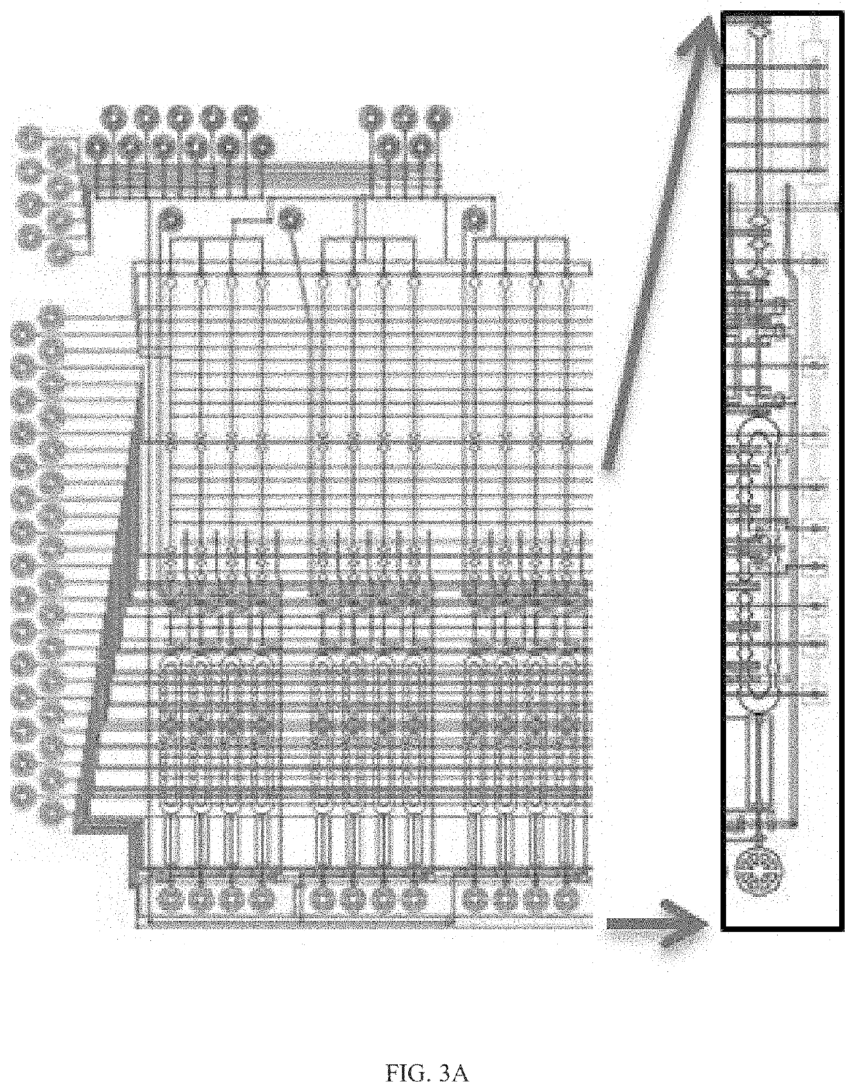 Hybridization probes and uses thereof