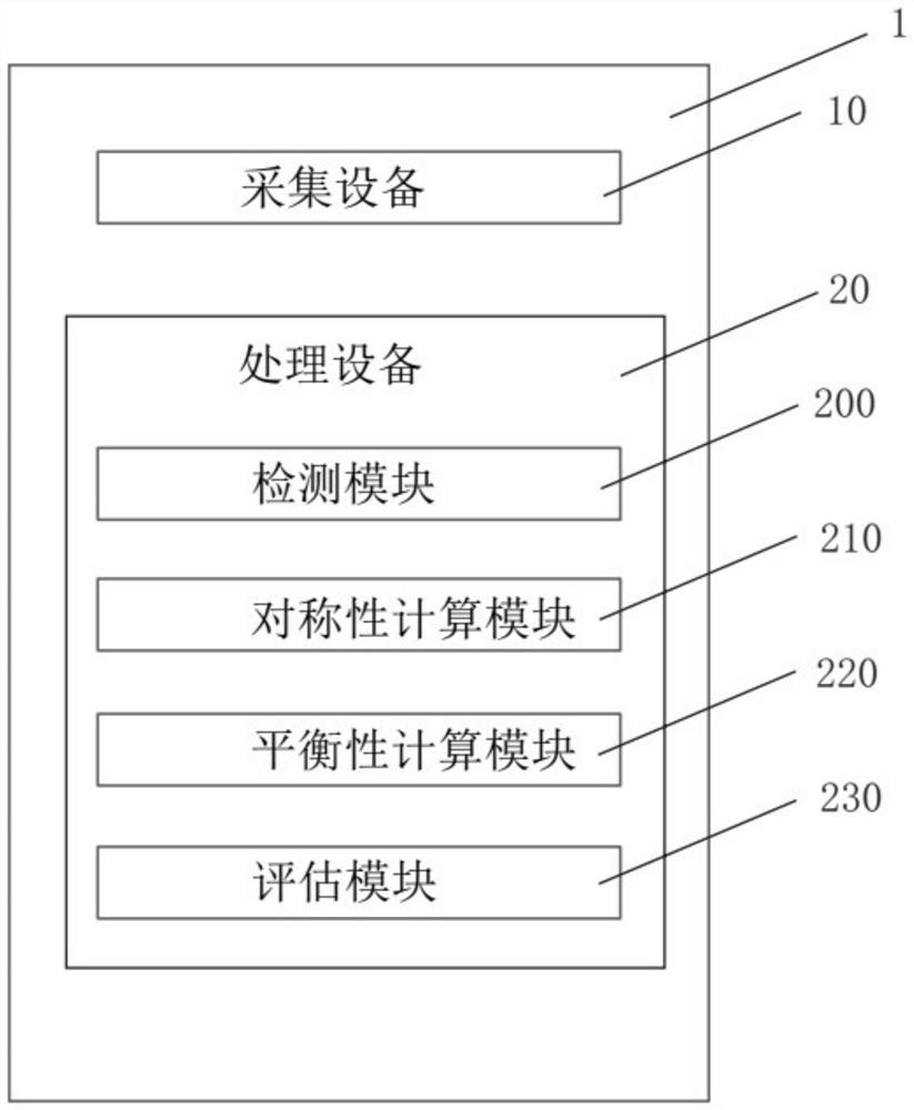 Systems and methods for scoliosis probability assessment