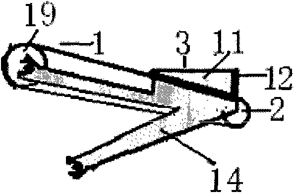 Method for accurately arranging positions and postures of rice seeds