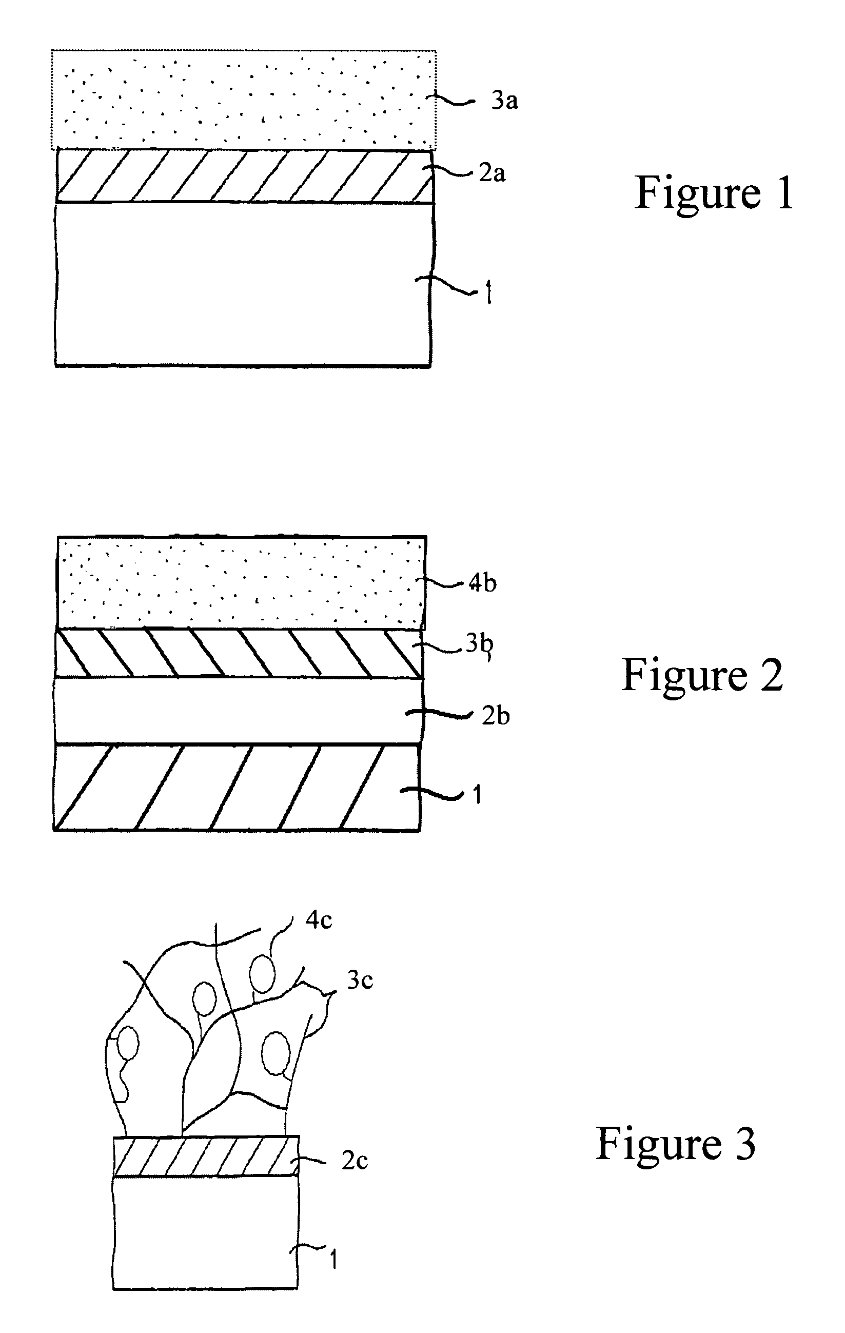 Articles having bioactive surfaces and solvent-free methods of preparation thereof