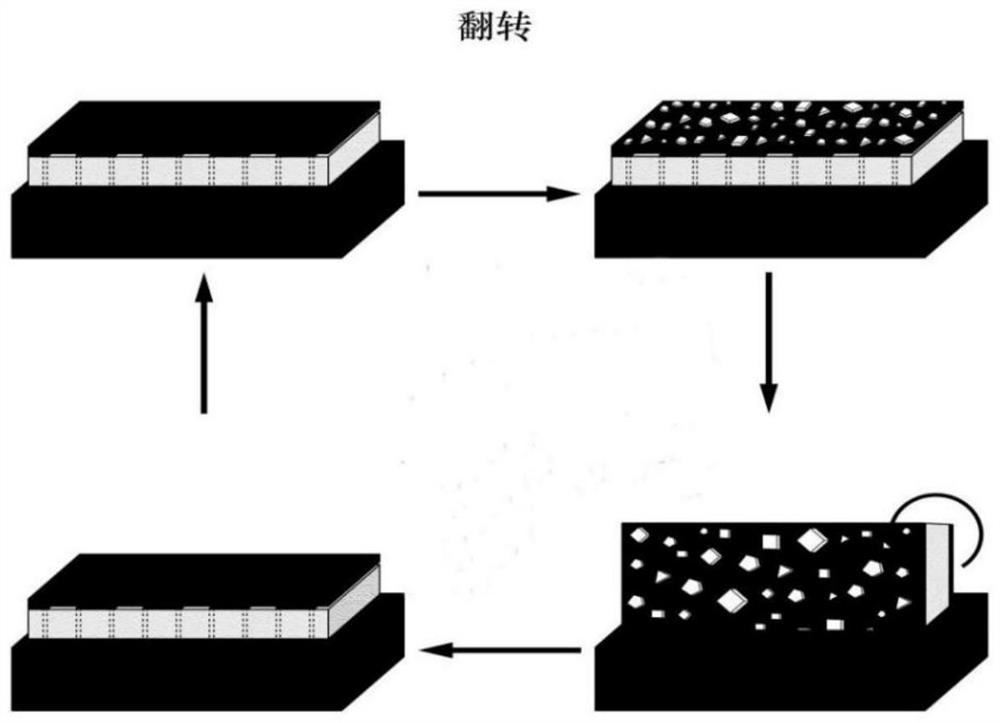 Double-sided photo-thermal conversion material and solar seawater evaporation device constructed by same