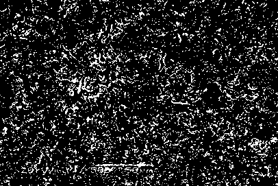 A silicon carbide-based high-temperature self-lubricating composite material and its preparation method