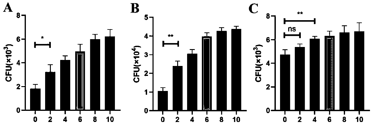 Application of Toll-like receptor ligand protein in resisting bacterial infection