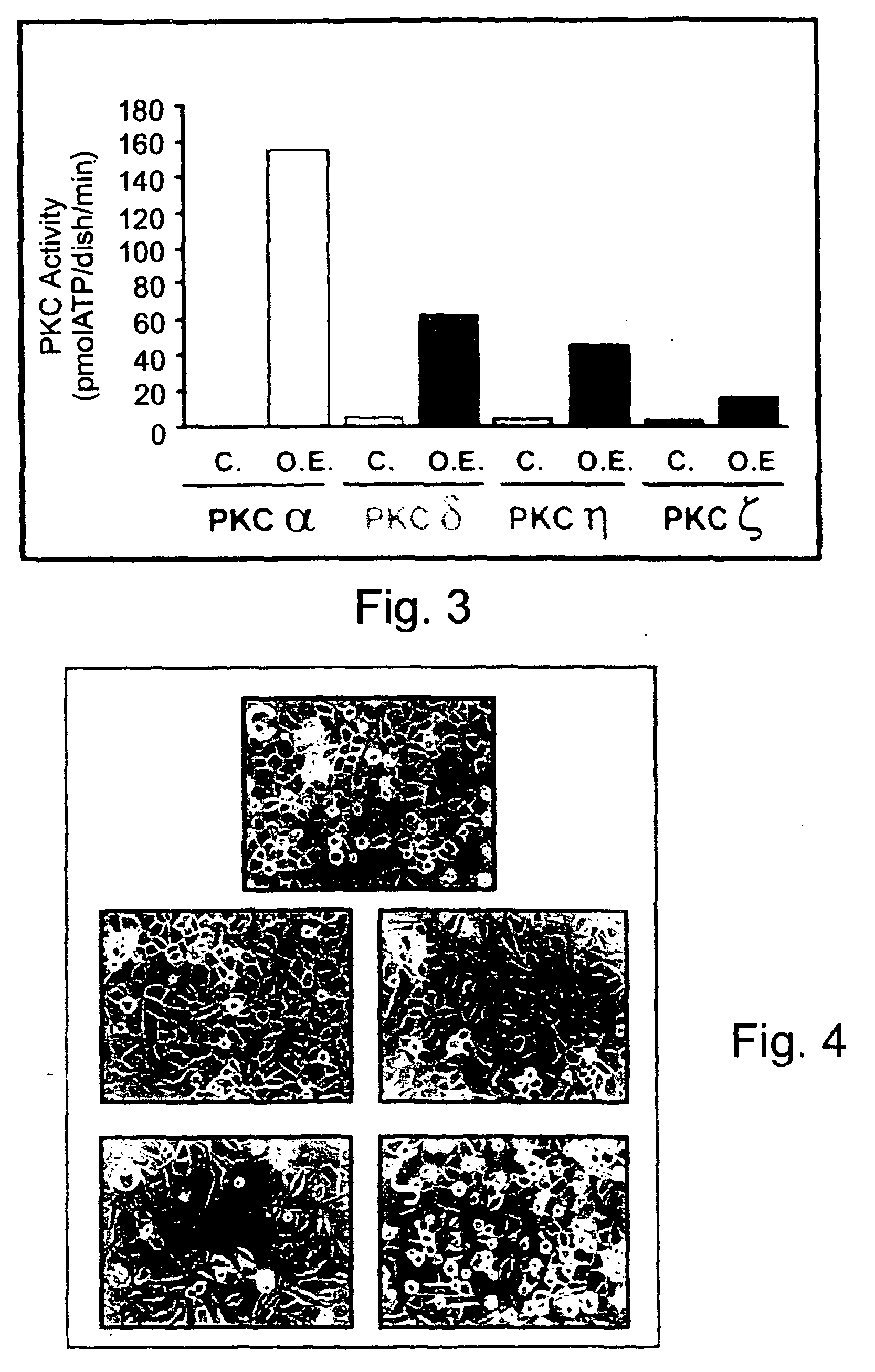 Methods and pharmaceutical compositions for healing wounds