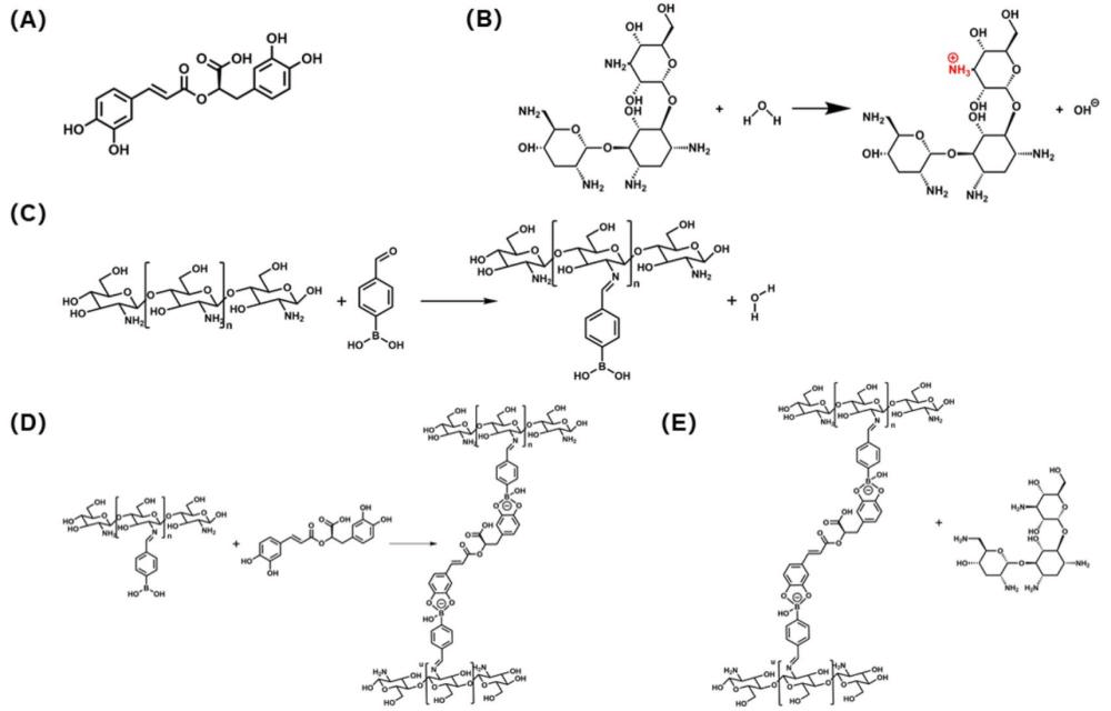 Preparation and use of an injectable hydrogel for repairing infected bone defects