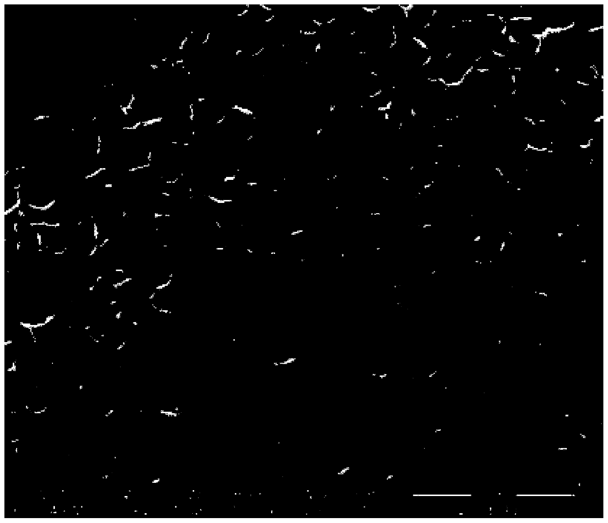 Full-water-electrolysis catalyst, and preparation method and application thereof