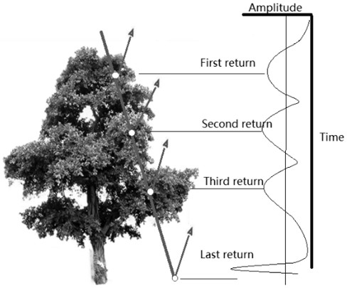 Method for measuring tree-level parameters of deciduous forest based on small-spot airborne radar