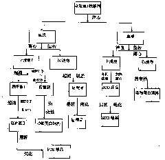 Tri-union compound immunopotentiator and method for preparing same