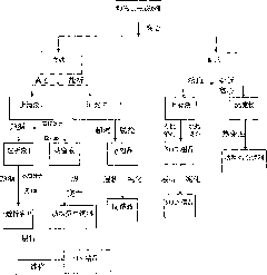 Tri-union compound immunopotentiator and method for preparing same