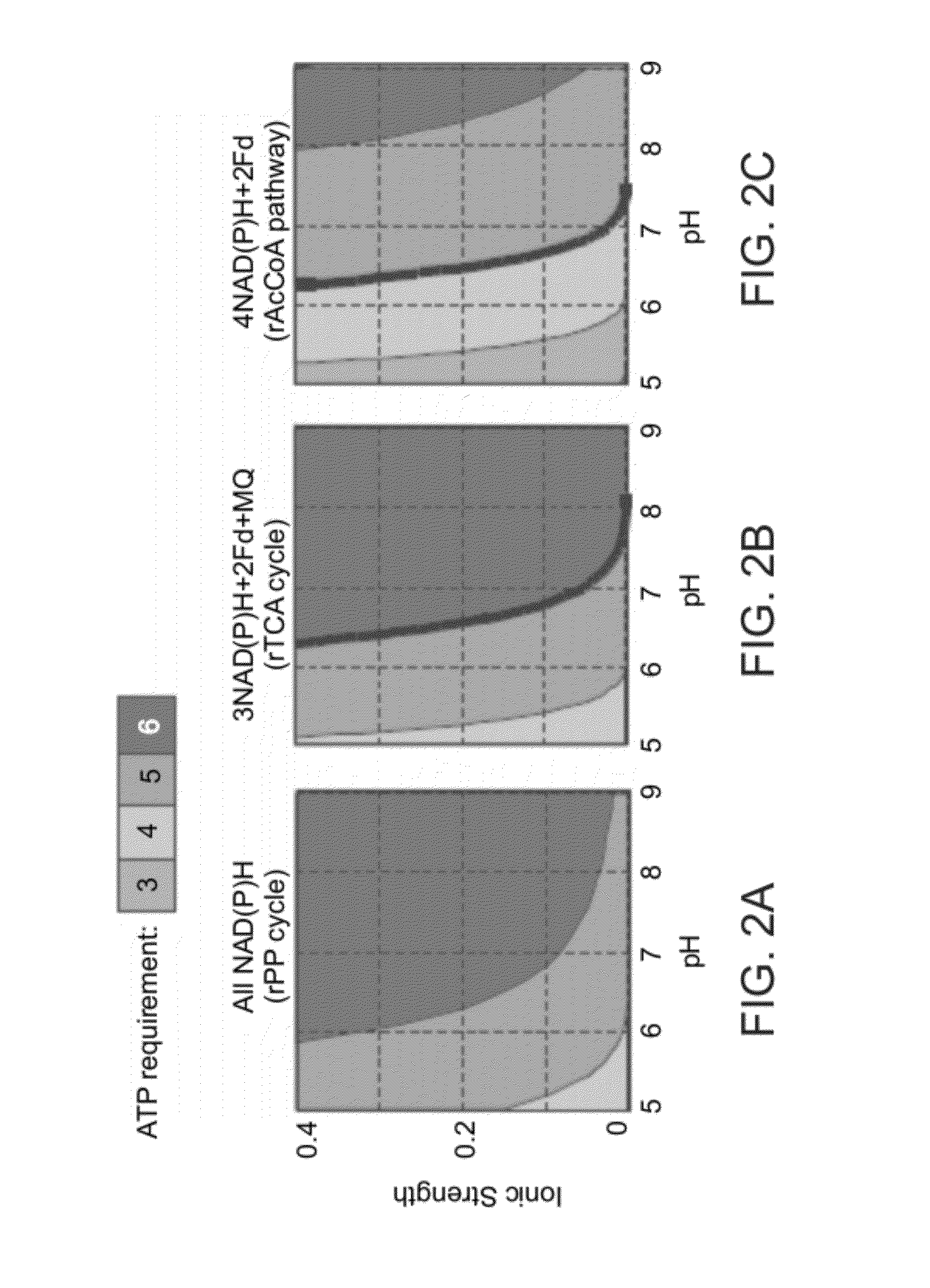Enzymatic systems for carbon fixation and methods of generating same
