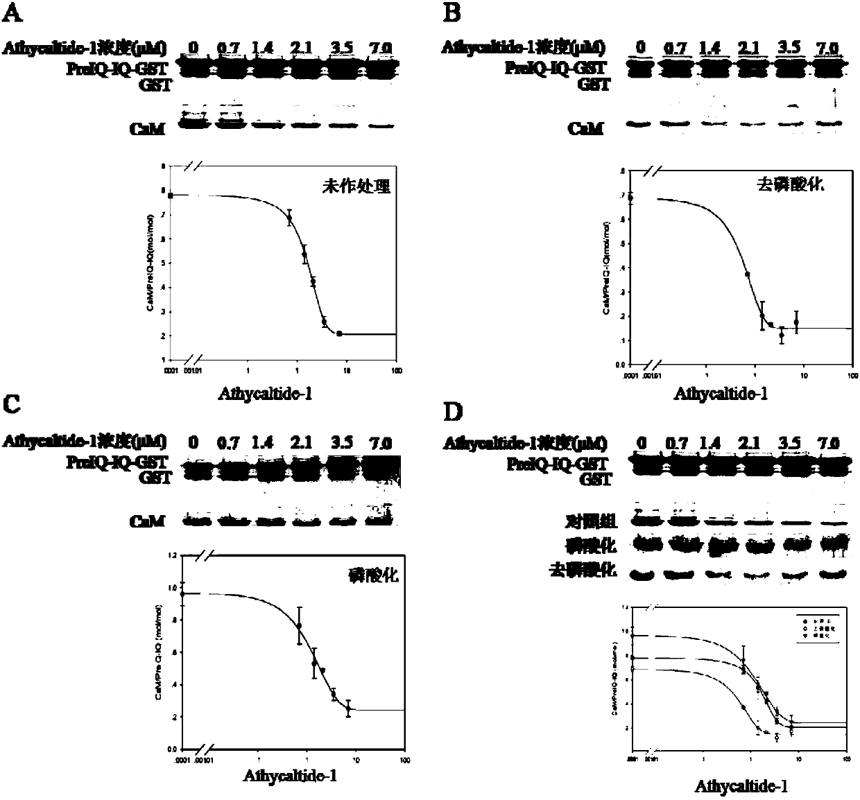 Polypeptide drug Athycaltide and application thereof