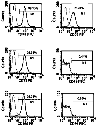 Method for sequential culture of human umbilical cord blood mesenchymal stem cells by using two culture media