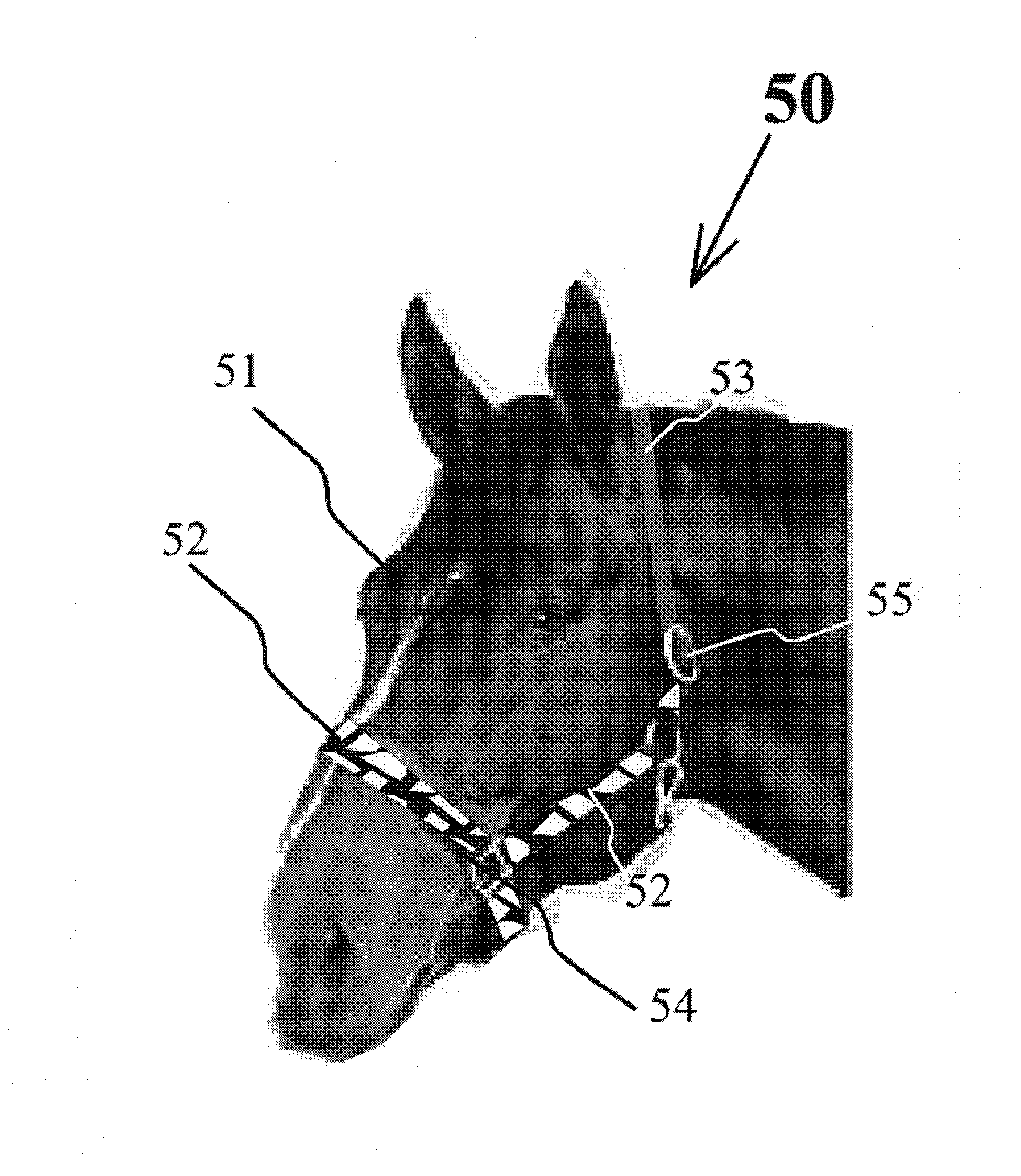 Omnidirectionally reflective horse halter
