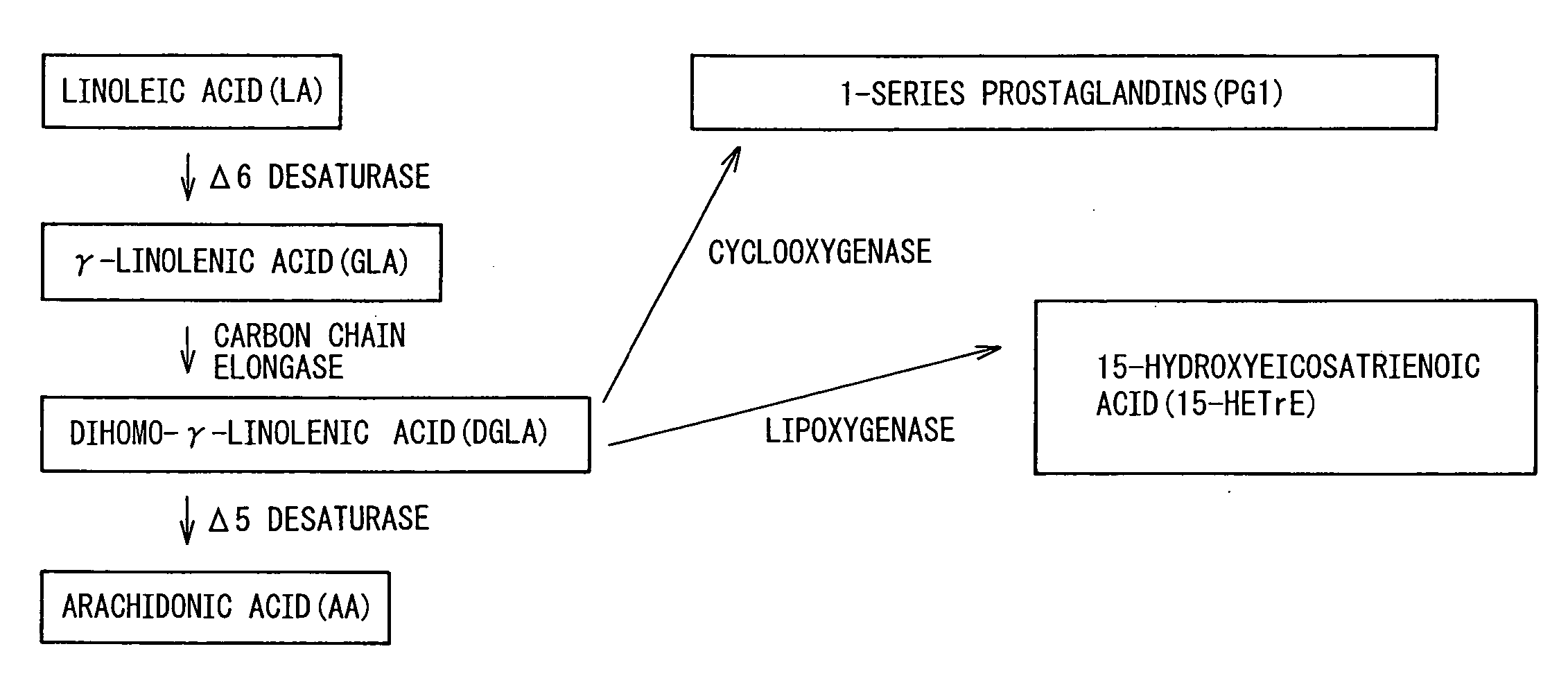 Composition Comprising Dihomo-y-Linolenic Acid (Dgla) As Active Ingredient