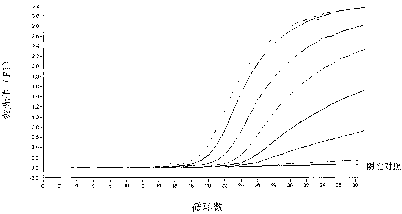 Nucleotide sequence, method and agent case for detecting bovine spongiform encephalitis specific risk substance in beef