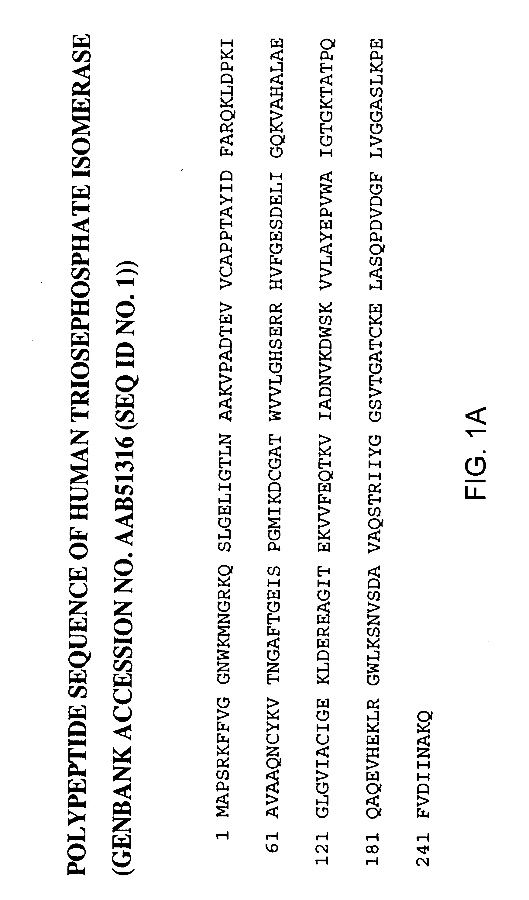 Triosephosphate isomerase directed diagnostics and therapeutics for multidrug resistant neoplastic disease