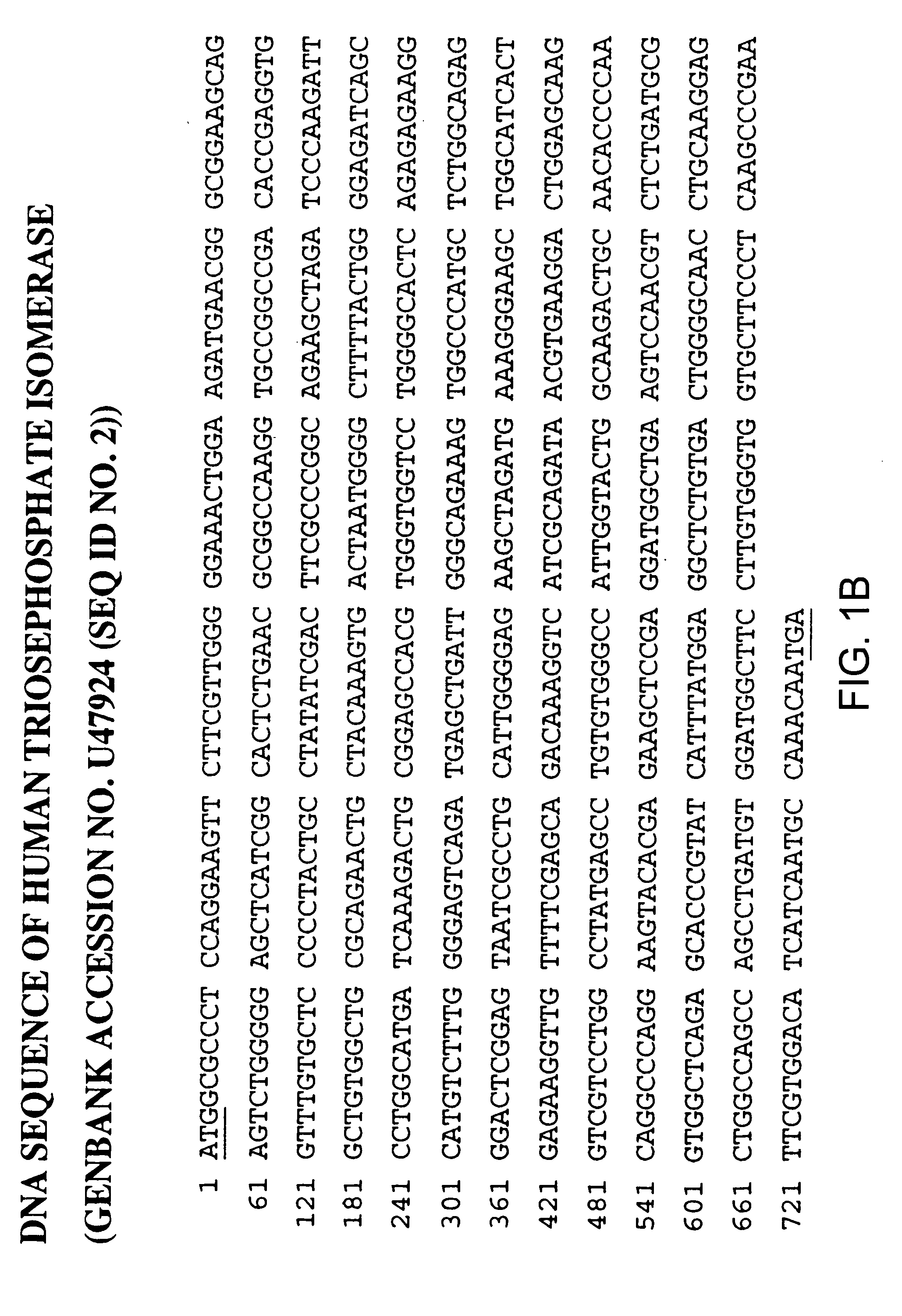 Triosephosphate isomerase directed diagnostics and therapeutics for multidrug resistant neoplastic disease