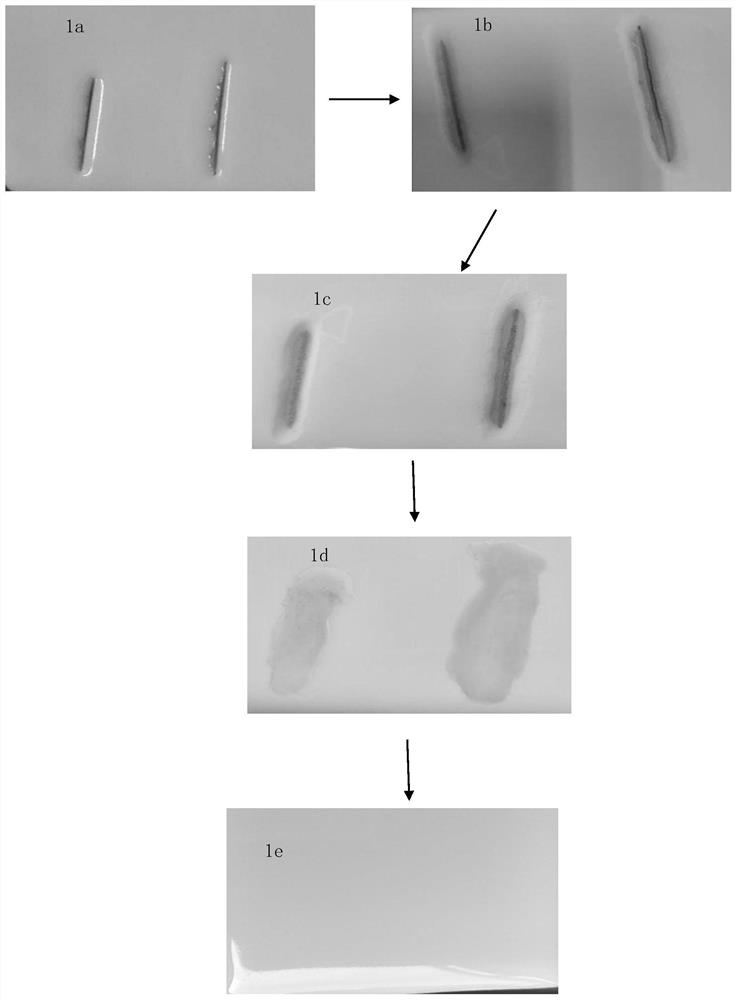 A kind of ceramic repair material and ceramic repair method