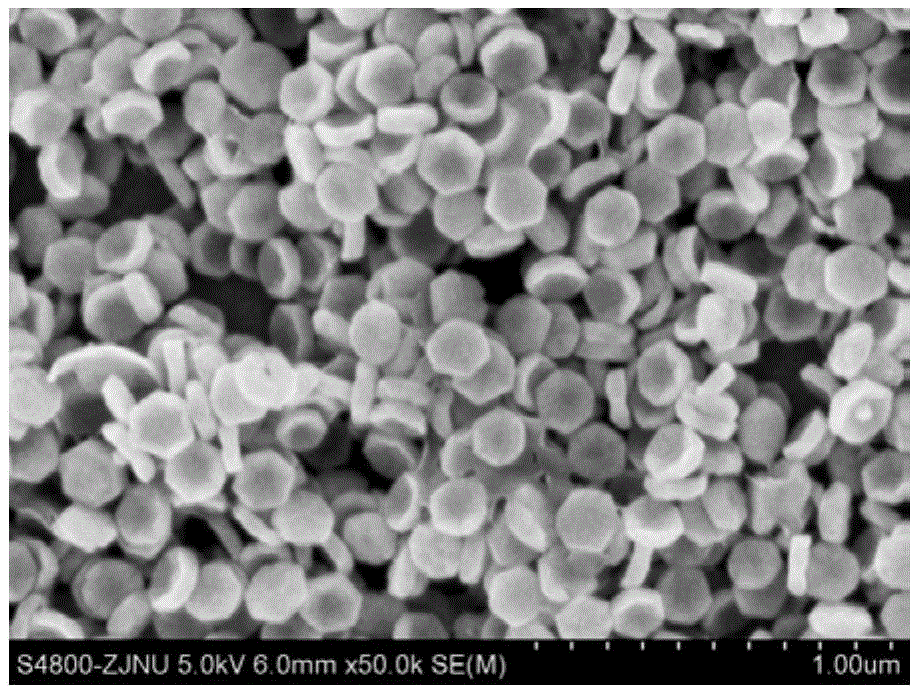 Monodisperse ZnO micro/nano material, and preparation method and application thereof