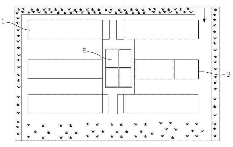 Meat and poultry steady breeding farm and dorking steady breeding method