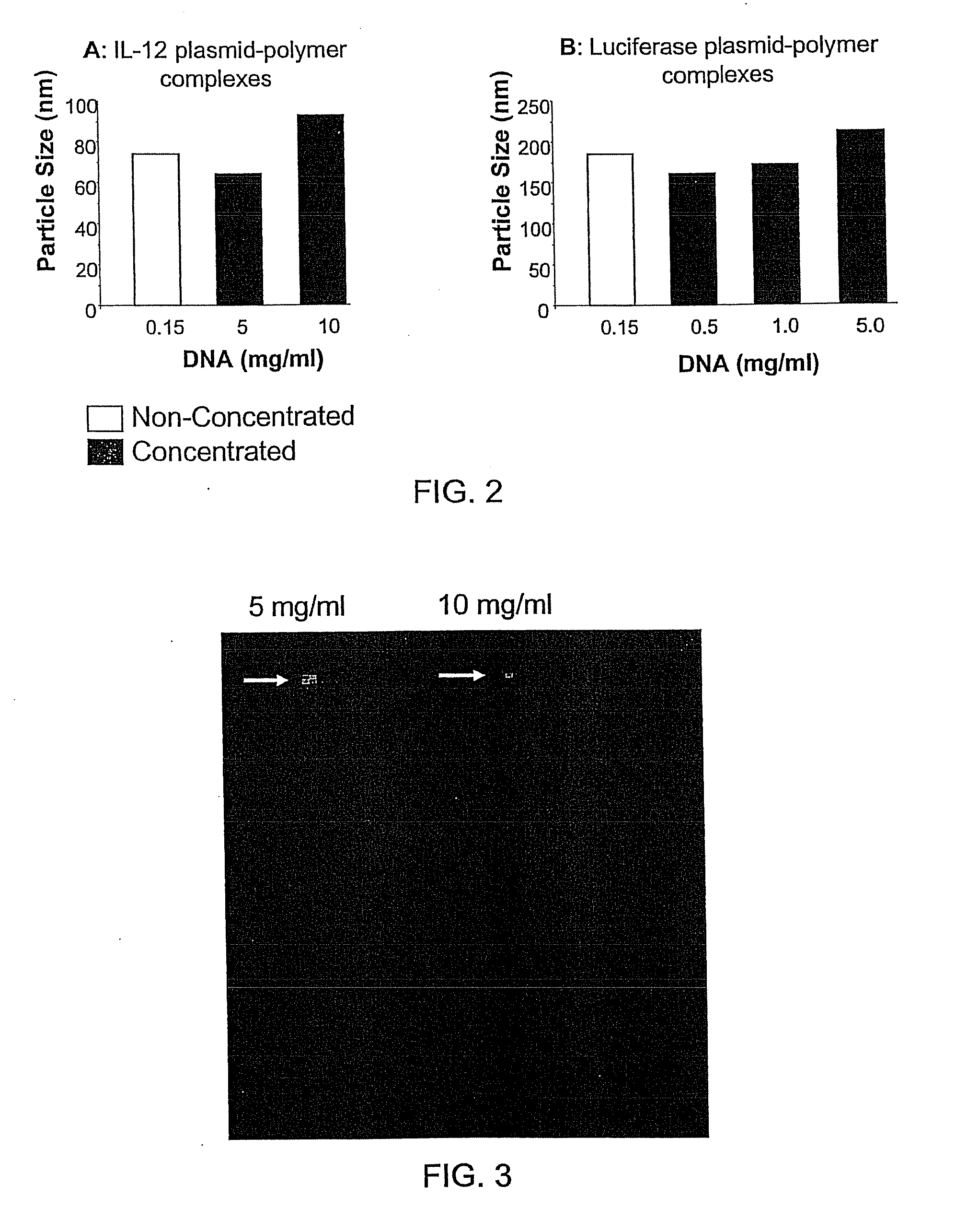 Nucleic Acid-Lipopolymer Compositions