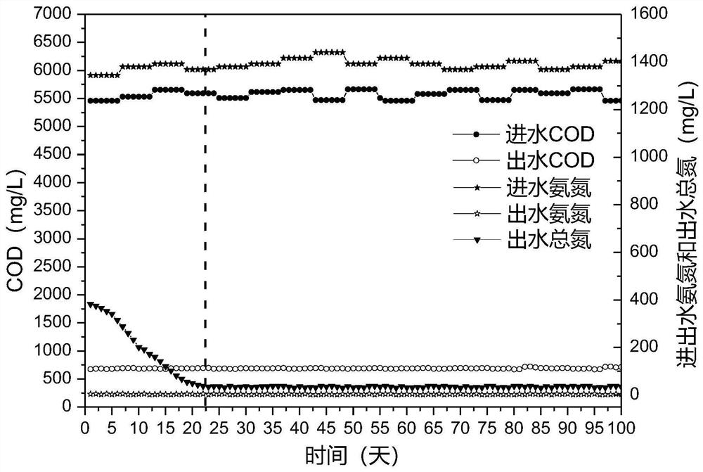 A sbbr-sbr switching landfill leachate deep denitrification process