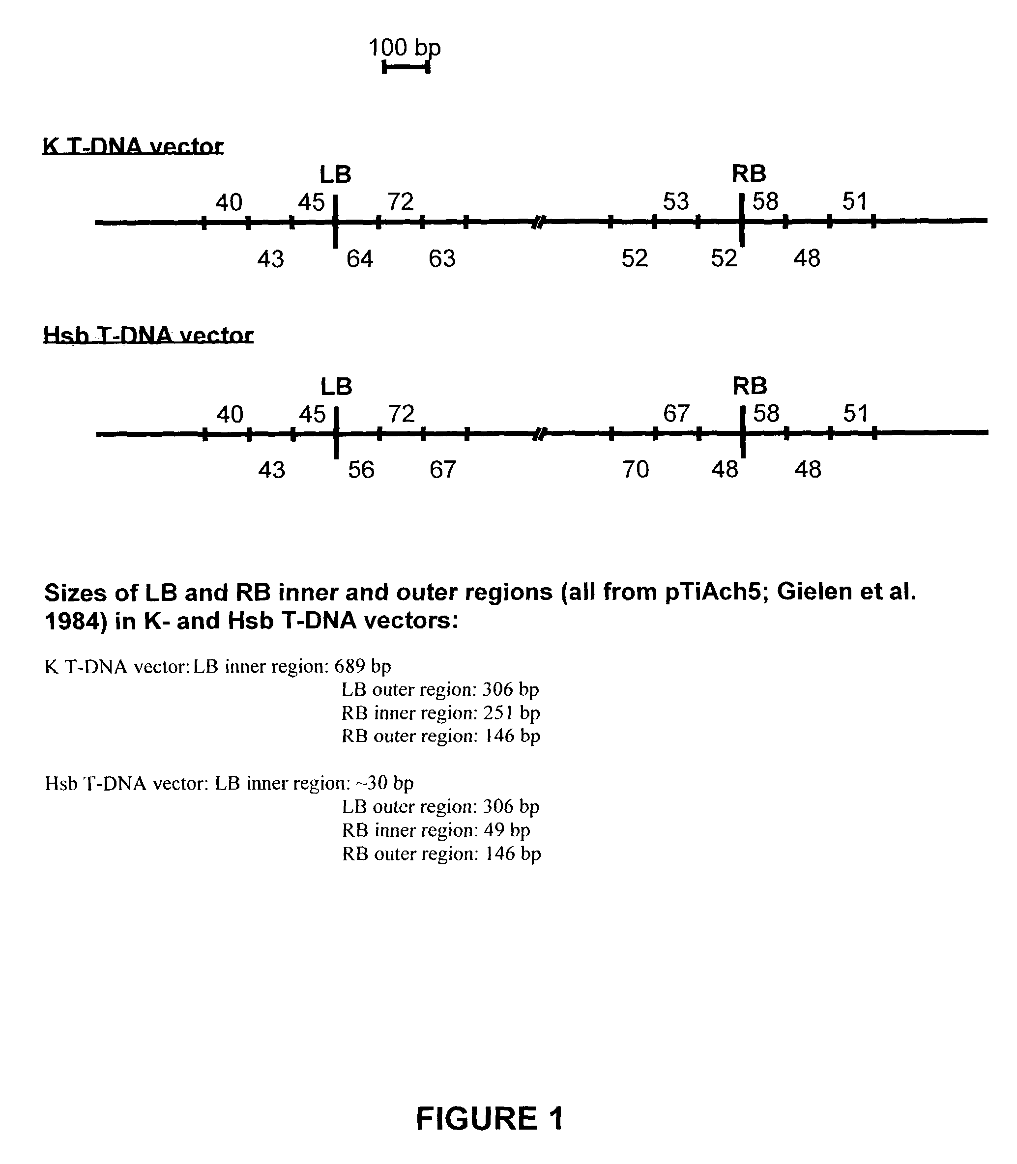 Optimized T-DNA transfer and vectors therefor