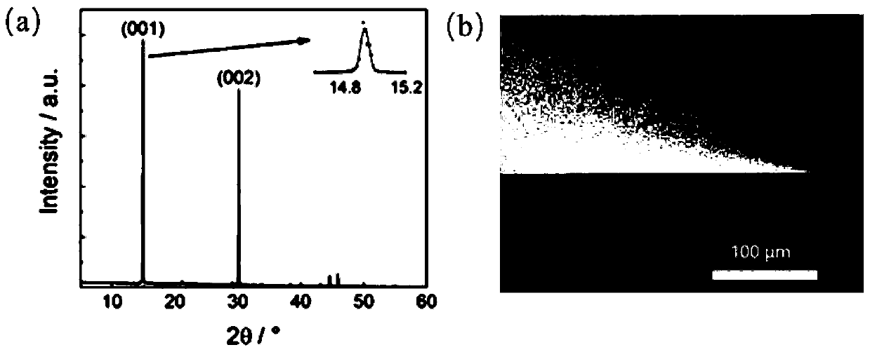 Method for preparing vertical cavity surface emitting laser by in-situ growth perovskite single crystal thin film, and vertical cavity surface emitting laser