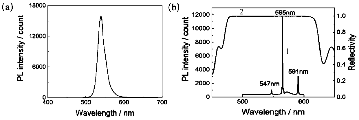 Method for preparing vertical cavity surface emitting laser by in-situ growth perovskite single crystal thin film, and vertical cavity surface emitting laser