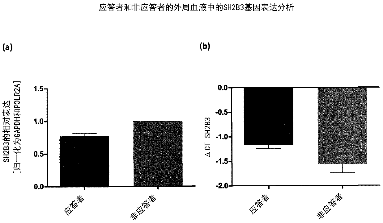 Sh2b adapter protein 3 for the prediction of bone marrow response and immune response