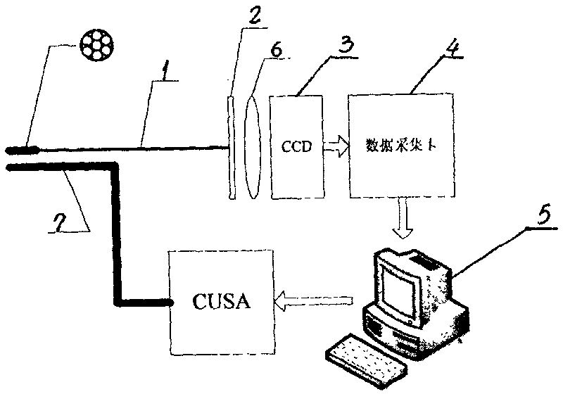 Automatic fluorescent inspecting system