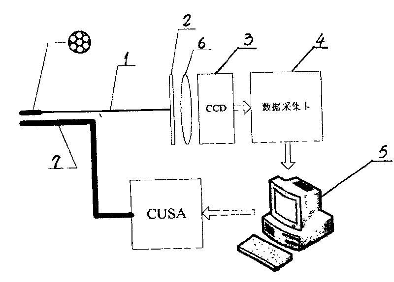 Automatic fluorescent inspecting system