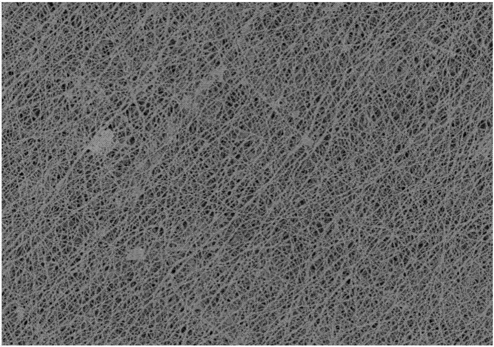 Biodegradable stress-free isolated digestive tract capsulated anastomat and preparation method thereof