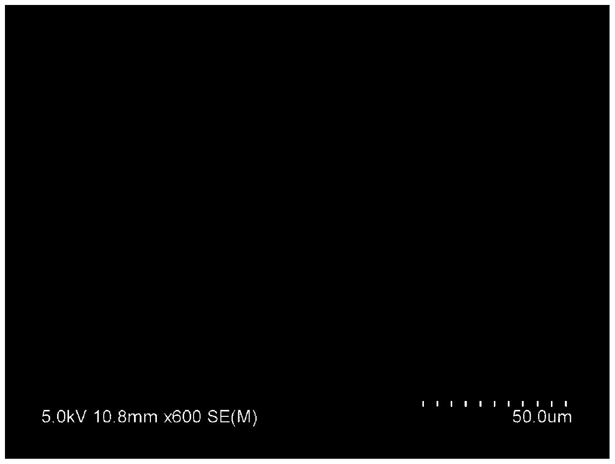 Environmental-friendly modified starch / feather protein grafted copolymer composite size, preparation method and application thereof