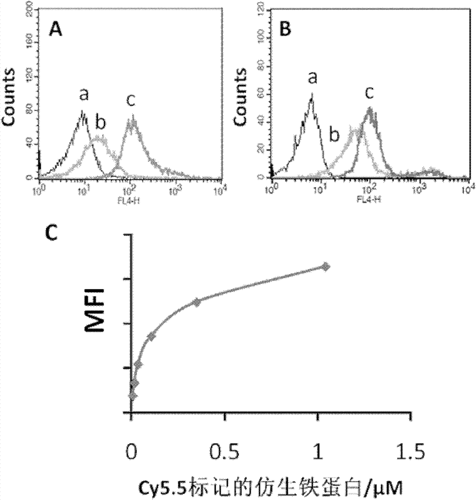 Difunctional tumor diagnosis reagent and method thereof