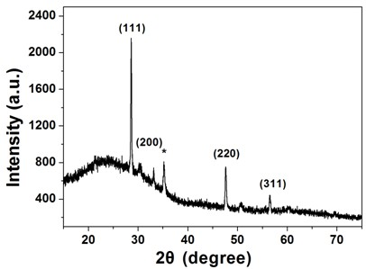 Method for preparing NaYF4:Yb,ER up-conversion fluorescent material by adopting electro-deposition